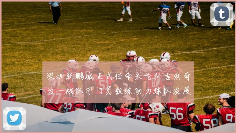 深圳新鹏城正式任命米伦科吉利奇为一线队守门员教练助力球队发展