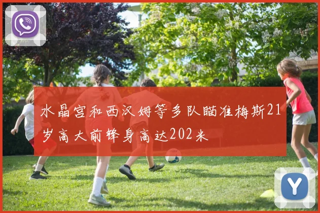 水晶宫和西汉姆等多队瞄准梅斯21岁高大前锋身高达202米